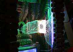 LANFORCE 6