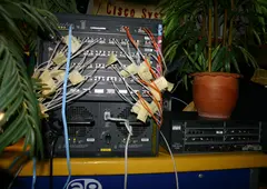 Core Switch in Jungle Atmosphäre